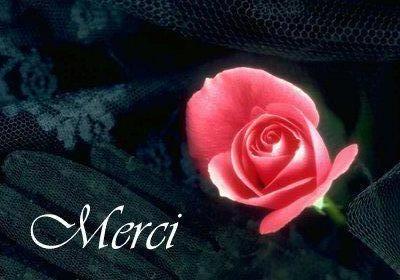 merci